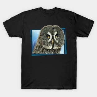 Gray owl T-Shirt